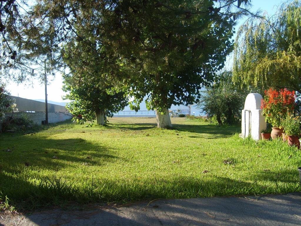 Apartments Skardoutsou Agiokampos (Evia) Exterior foto
